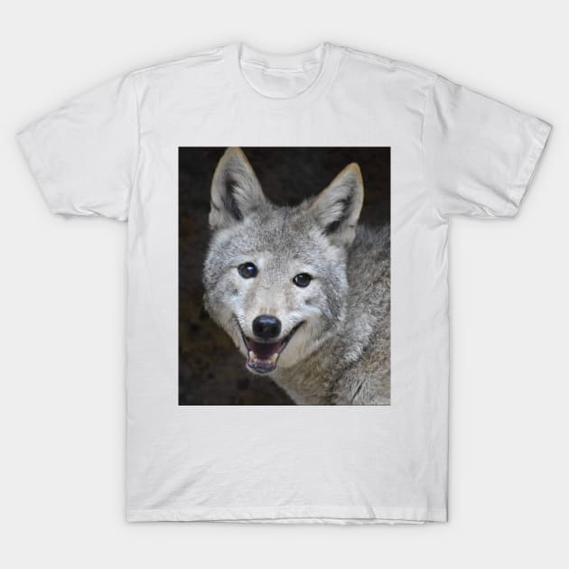 Coyote T-Shirt by Sharonzoolady